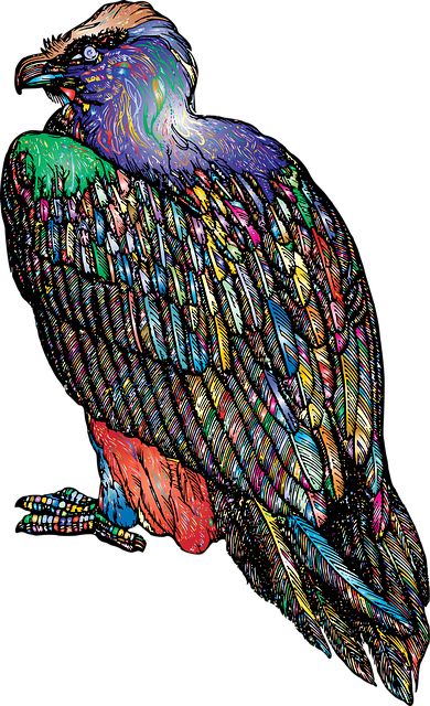 Free vulture bird feathers vector