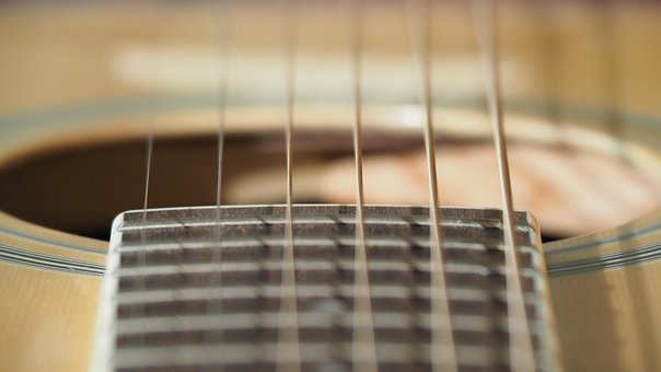 Instrument, Guitar, Musik, Strenge