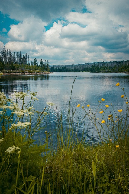 Free Lake Nature photo and picture