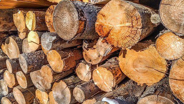 Free Wood Texture photo and picture