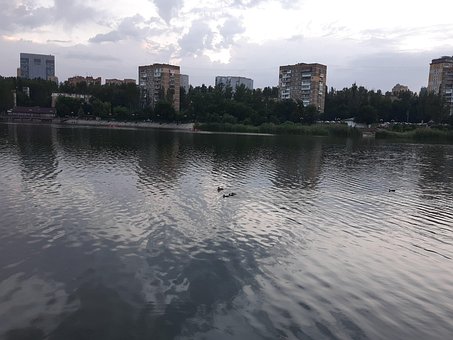 Free River Duck photo and picture
