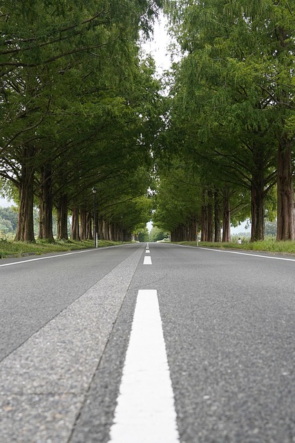 Free Street Road photo and picture