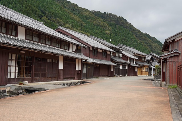 Free Japan Town photo and picture