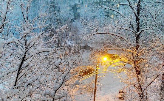 Free Winter Snow photo and picture