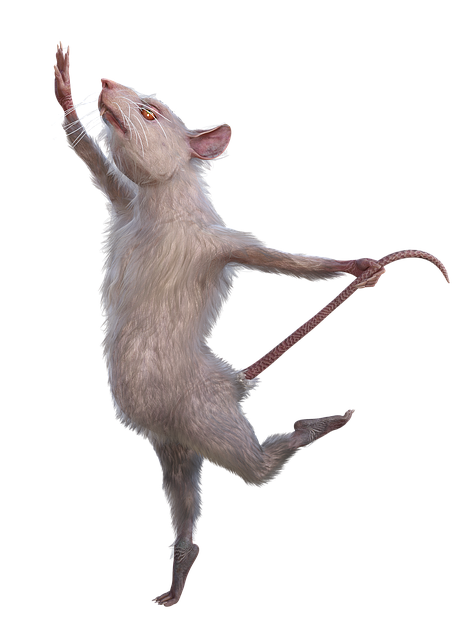 Free mouse dancing fantasy illustration