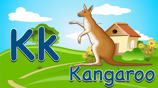 alphabet, letter, k, kangaroo, education, preschool, english alphabet, flashcard, phonics, cartoon, alphabet, alphabet, phonics, phonics, phonics, phonics, phonics