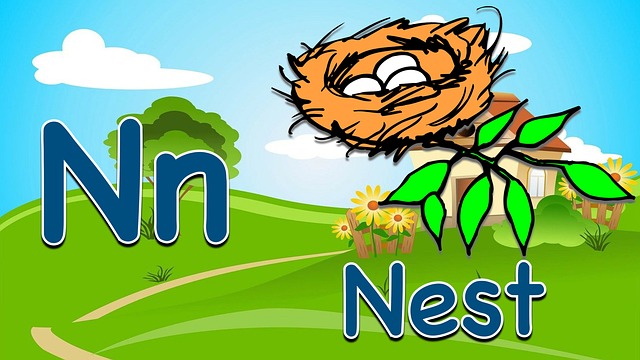 alphabet, letter, n, nest, education, preschool, english alphabet, flashcard, phonics, cartoon, alphabet, english alphabet, phonics, phonics, phonics, phonics, phonics