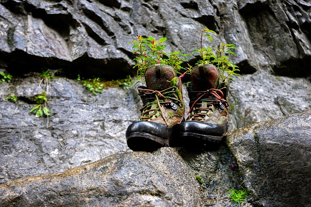 Wanderschuhe, Schuhe, Felsen, Schuhwerk
