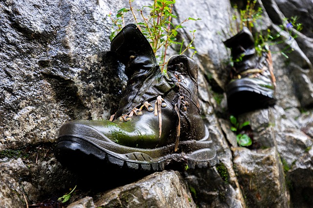 Wanderschuhe, Schuhe, Felsen, Schuhwerk
