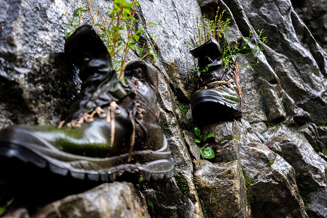 Wanderschuhe, Schuhe, Felsen, Schuhwerk