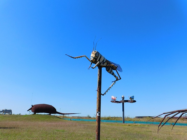 Free Model Grasshopper photo and picture