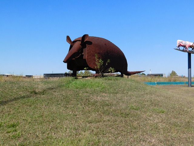 Free Huge Armordillo photo and picture