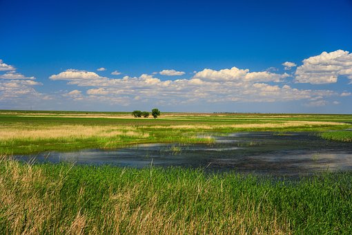 Natuur, Reizen, Exploratie, Buitenshuis