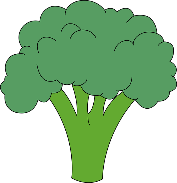 Free Broccoli Vegetables vector and picture