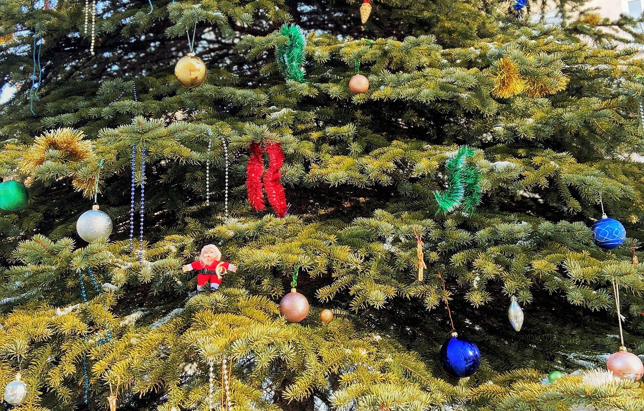Christmas Tree Holiday Season Free photo on Pixabay Pixabay