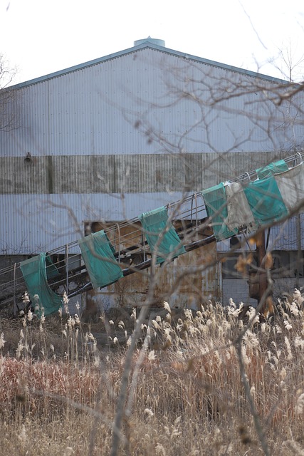 Free Factory Waste Plant photo and picture