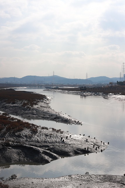 Free Nature River photo and picture