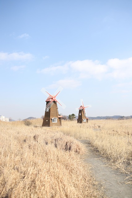 Free Reed Windmill photo and picture