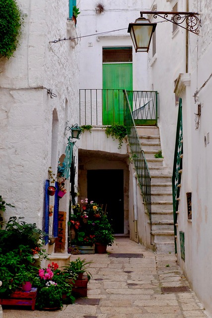 Free House Village photo and picture