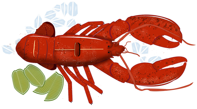 Zeevruchten, Kreeft, Tekening, Schetsen