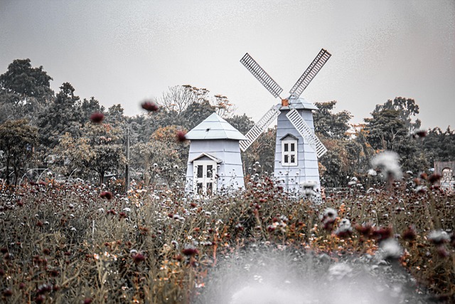 Free Nature Rural photo and picture