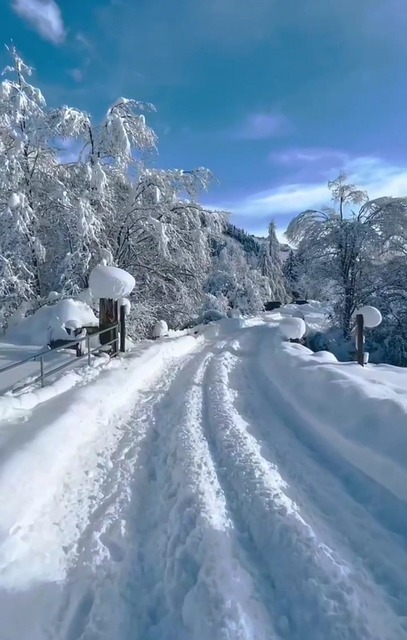 Зима, Природа, Сезон, Снег, Горы, Лес
