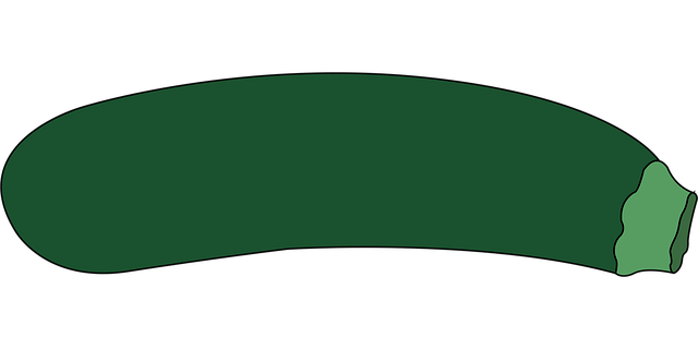 Free vegetable courgette food vector