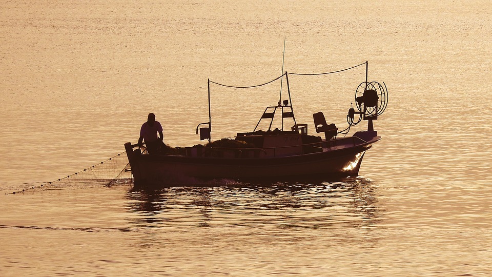 Catfish for Beginners: Your Ultimate Guide to a Successful First Catch!