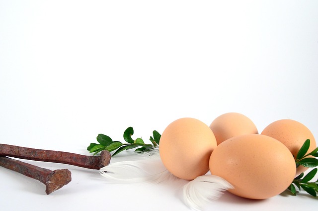 Free Protein Eggs photo and picture