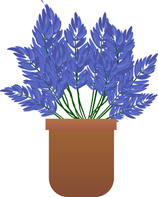 Flores, Planta, Jardín, Bloom