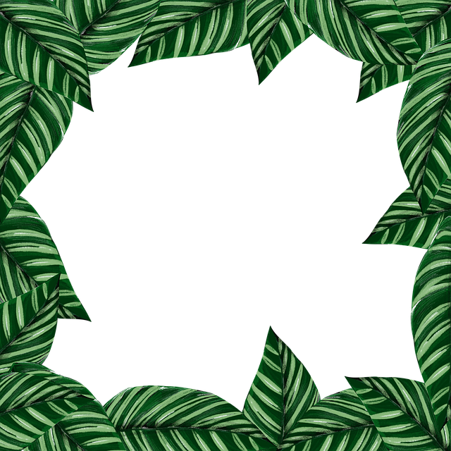 Kader, Bladeren, Grens, Groente, Ontwerp
