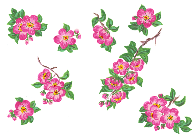 Download free HD stock image of Cherry Blossom Branch Free cherry blossom branch cherry vector