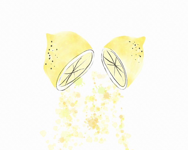 Free lemon citric slice illustration