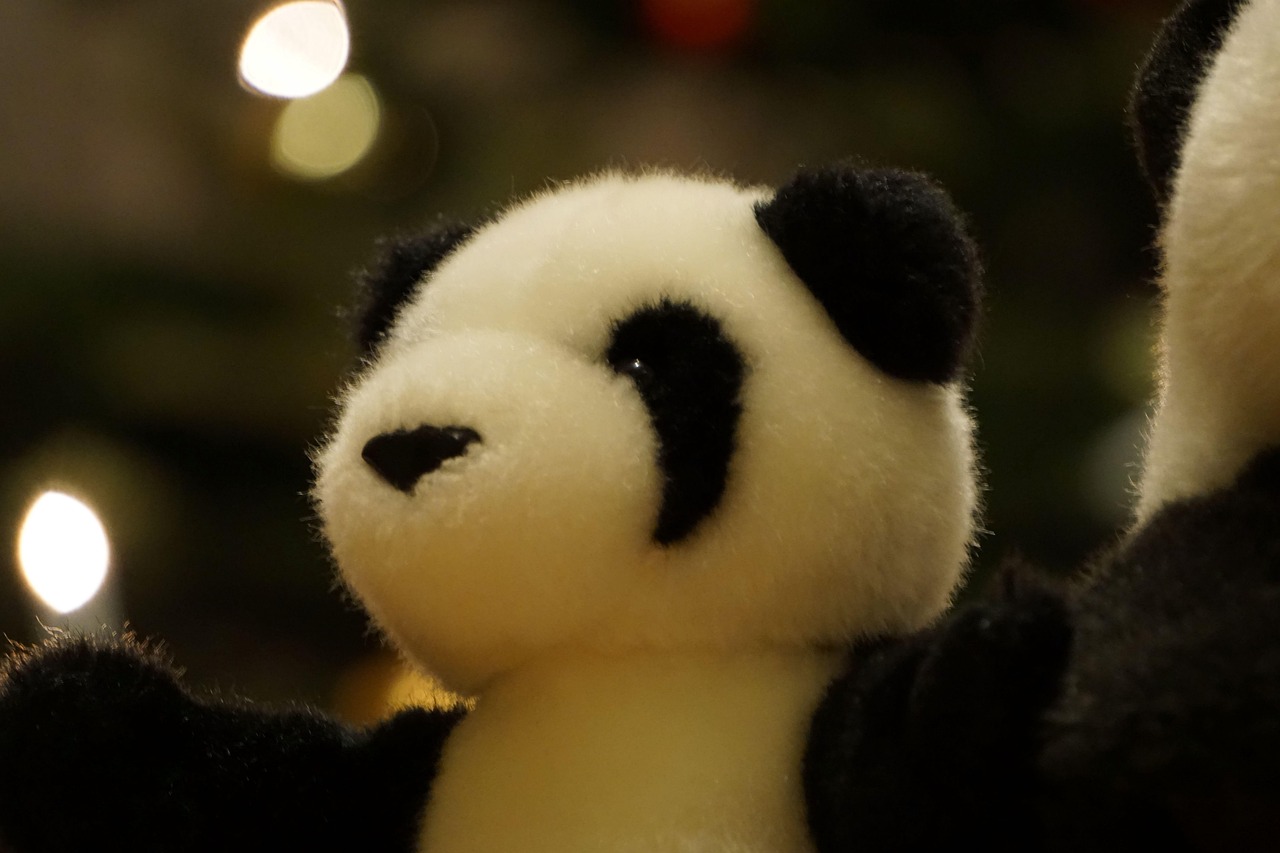  Foto zu Cuddly Toy Plush Panda - Free photo on Pixabay - Pixabay 