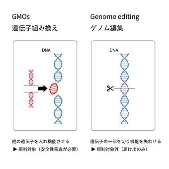 Gmo, Gen-Gen, Genom, Redigering