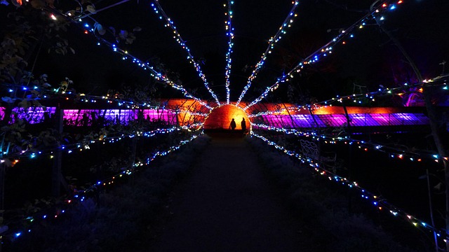 Free Christmas Lights photo and picture