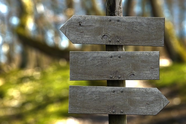 Free signpost wooden boards forest path illustration