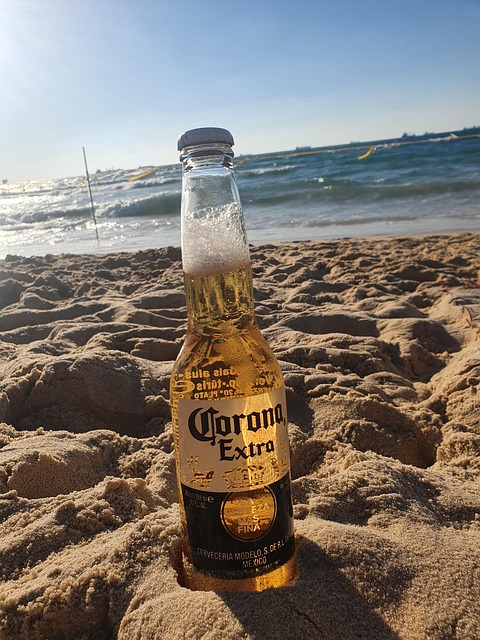 Free Beer Sea photo and picture