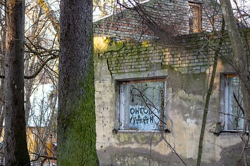 Bygning, Ruin, Forladt, Skov, Væg
