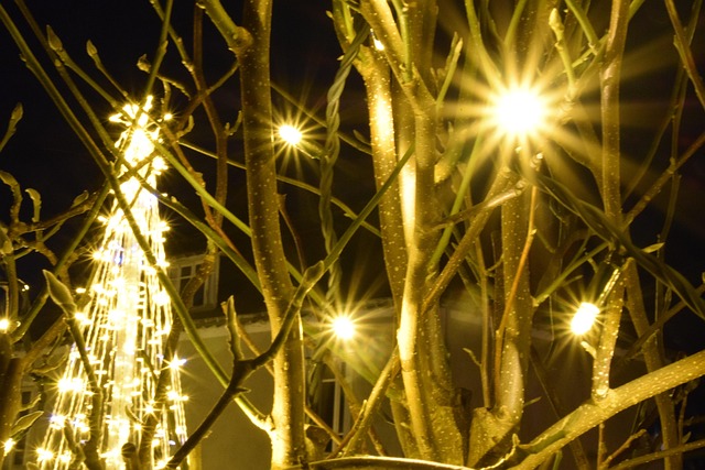 Free Christmas Illuminated photo and picture