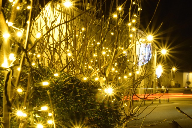 Free Christmas Winter photo and picture