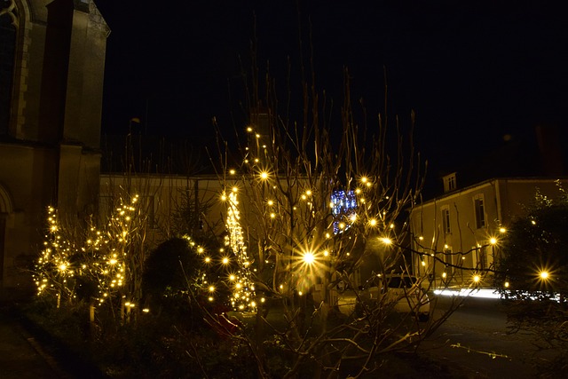 Free Night Christmas photo and picture