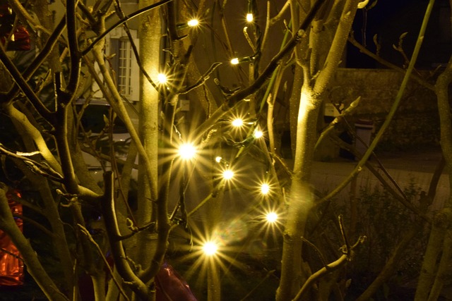 Free Town Christmas photo and picture