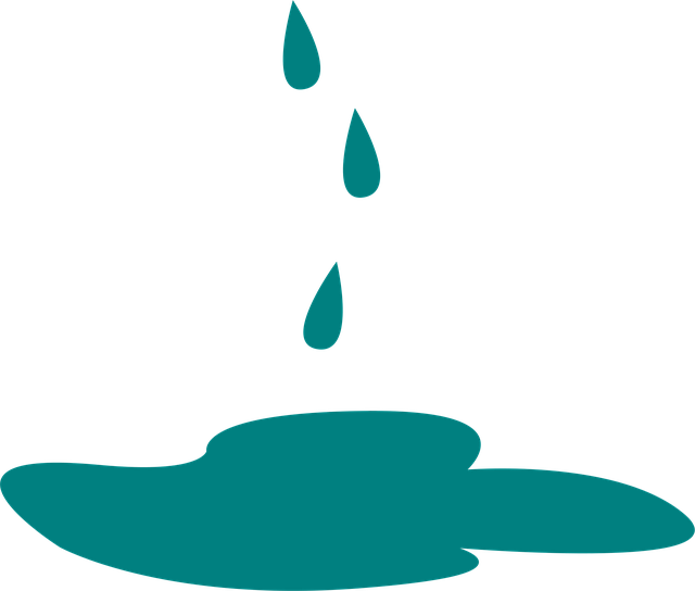 Free Puddle Water vector and picture