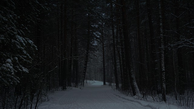 Free Winter Snow photo and picture
