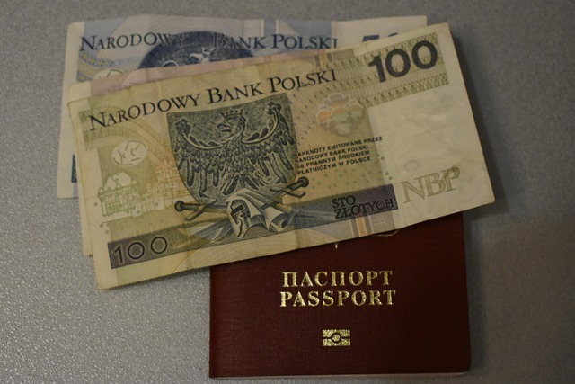 Finanţa, Valută, Voiaj, Fișa Cu Date De