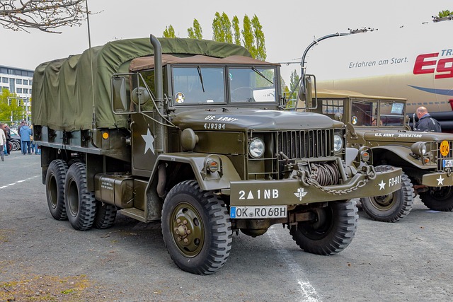 Free Army Vice photo and picture