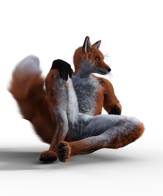 Free fox male nature illustration