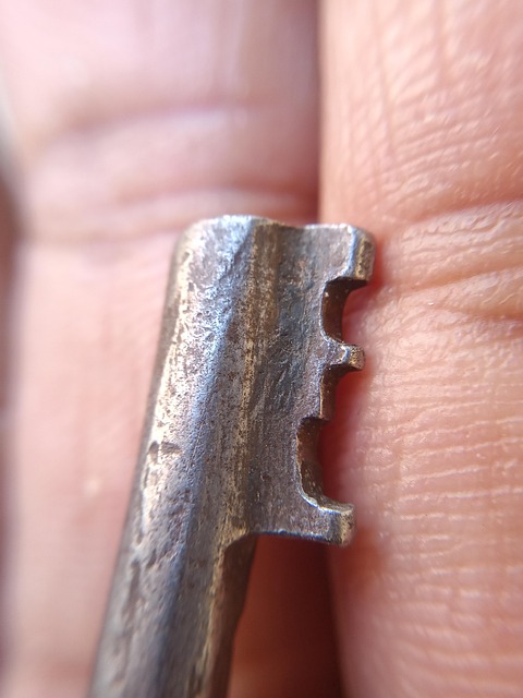 Free Palm Finger photo and picture