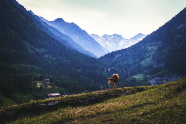 Free Alpen Landscape photo and picture